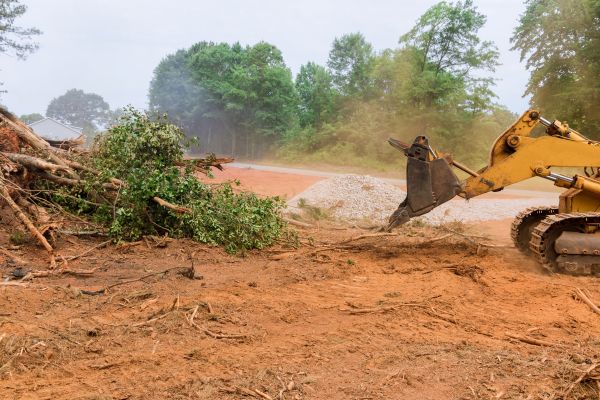 Ground Clearing in Lenexa