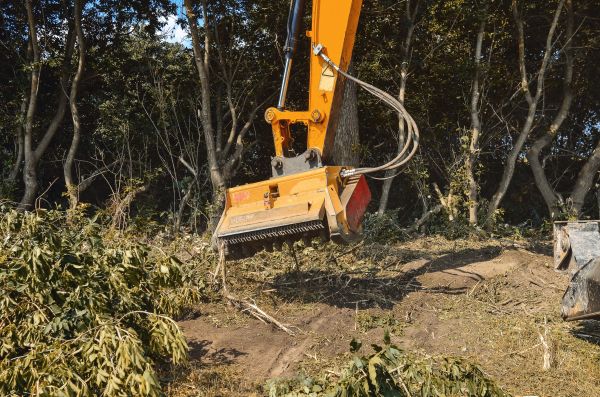 Brush Removal Service in Lenexa