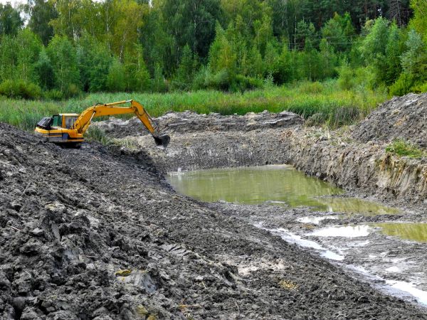 Cost of Lake Lot Clearing in Lenexa
