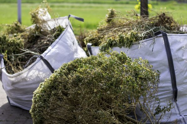 Cost of Bushes Clearing in Lenexa