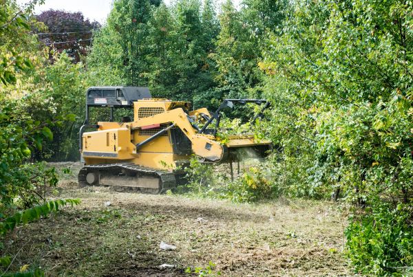 Cost of Pathway Clearing in Lenexa