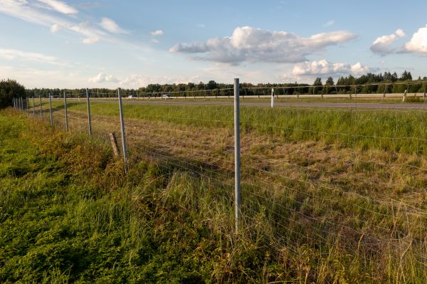 Cost of Property Line Clearing in Lenexa