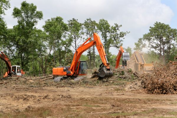 Cost of Commercial Lot Clearing in Lenexa