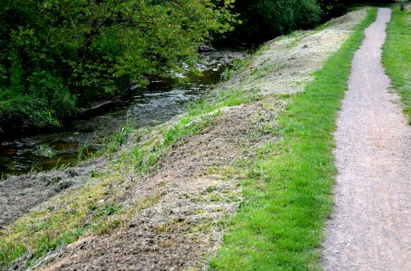 Cost of Trail Cutting in Lenexa