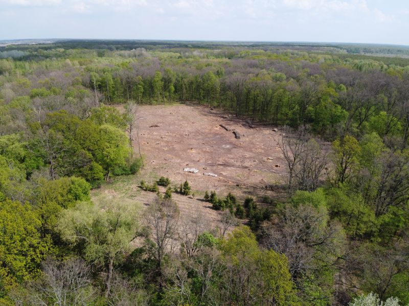 Commercial Land Clearing
